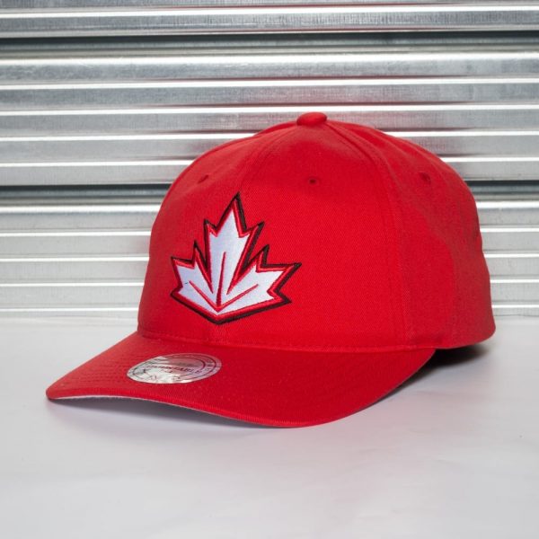 Кепка MITCHELL&NESS WCH TEAM SLOUCH (RUSSIA)